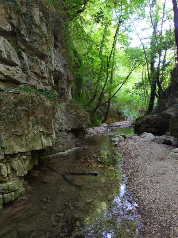 All Inbasilicata Bed & Breakfast Baragiano Zewnętrze zdjęcie